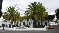 Lanzarote 201802_006