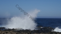 Lanzarote 201802_059