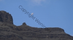 Lanzarote 201802_172