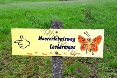 Leckermoor_20170809_04