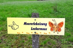Leckermoor_20170809_04