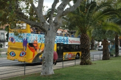 madeira200704_1 184