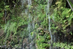 madeira200704_1 276