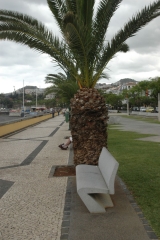madeira200704_1 363