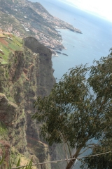 madeira200704_2 003