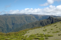 madeira200704_2 013
