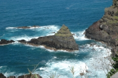 madeira200704_2 030
