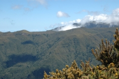 madeira200704_2 108