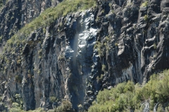 madeira200704_2 113