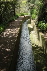 madeira200704_2 121