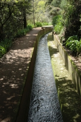 madeira200704_2 121