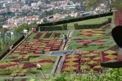 madeira200704_2 162