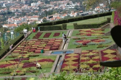 madeira200704_2 162
