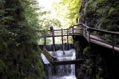 Mendlingtag_20170809_06