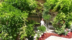 Meran 201705_017