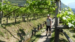 Meran 201705_032