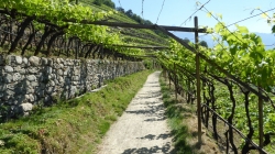 Meran 201705_034