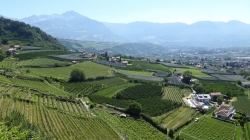 Meran 201705_037
