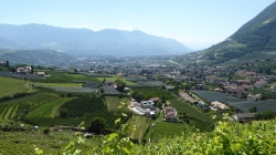 Meran 201705_038