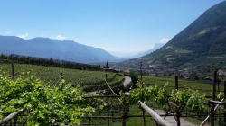 Meran 201705_119