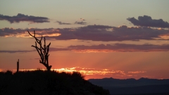 Namibia - Fishriver Canyon