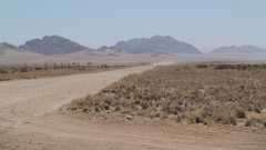 Namibia - zur Namib