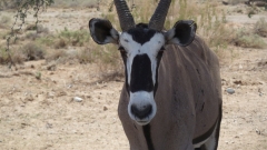 Namibia