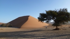 Namibia - Düne 45, Namib