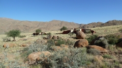 Namibia - Barchan Dune