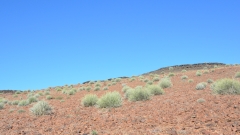 Namibia - Fishriver Canyon