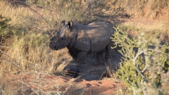 Namibia - African Safari Lodge, Mariental