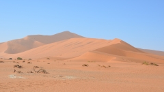 Namibia - Dead Vlei, Namib