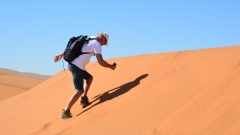 Namibia - Dead Vlei, Namib