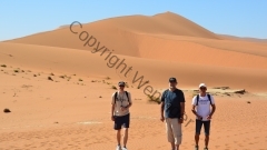 Namibia - Dead Vlei, Namib