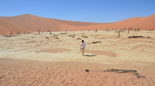 Namibia - Dead Vlei, Namib