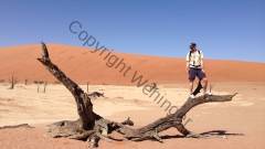 Namibia - Dead Vlei, Namib