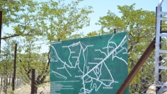 Namibia - Etosha NP