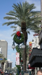 Karibik_NewOrleans_001