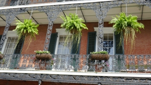 Karibik_NewOrleans_066