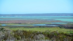 Südafrika Westcoast NP