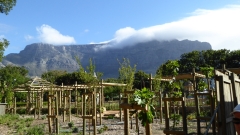 Südafrika Kapstadt