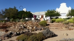 Südafrika Namaqualand Naries