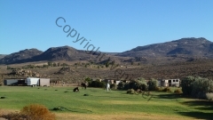 Südafrika Springbok