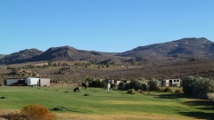 Südafrika Springbok