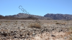 Südafrika Richtersfeld NP