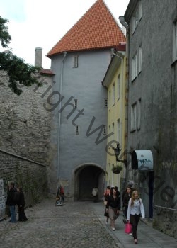 tallinn_008