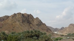 vae_104-P1040050