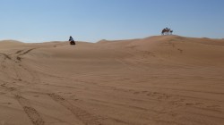 vae_116-P1040302