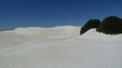 P1160317