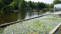Waldviertel_20210816
